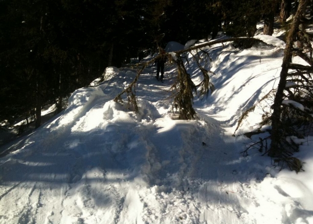  Pistas de esquí de fondo en la Vallée Blanche 